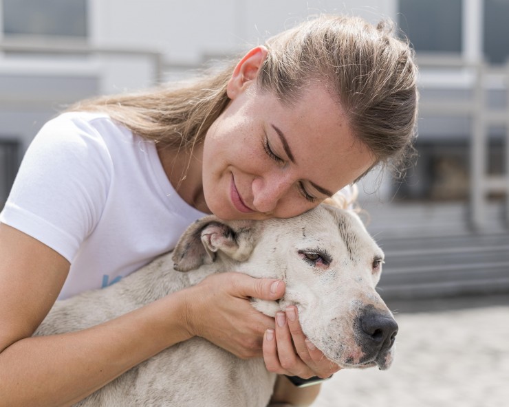 FFTIN Tierheimsponsoring startet das Jahr mit zwei neuen Websites