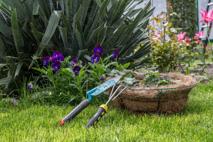 Maximilian Zieseniß: Mit Gartenarbeit vom Alltagsstress erholen