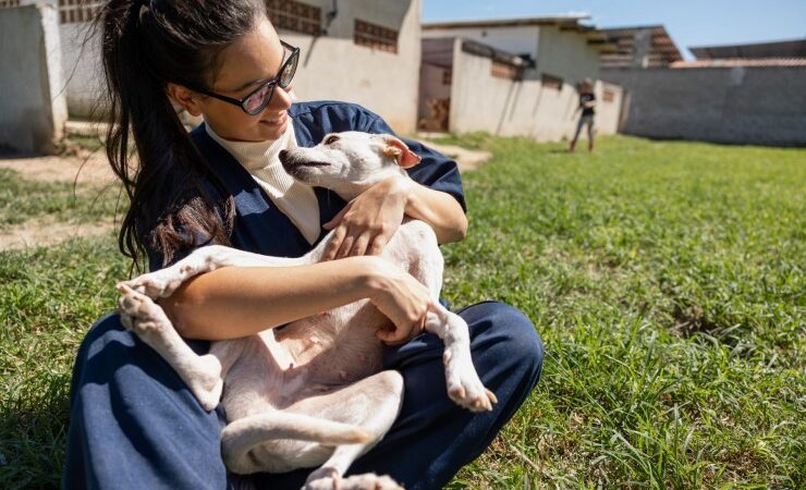 FFTIN Tierheimsponsoring: Gemeinsam stark im Tierschutz