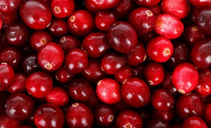 Auranatura Erfahrungen: Die gesundheitlichen Aspekte der Cranberry im Fokus