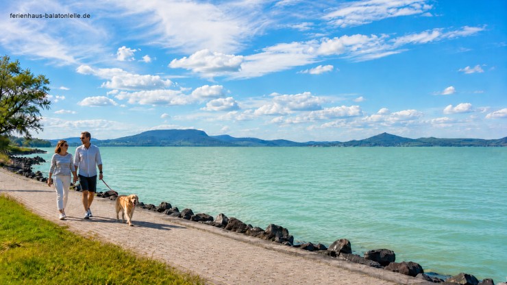 Wo finde ich ein hundefreundliches Ferienhaus am Balaton?