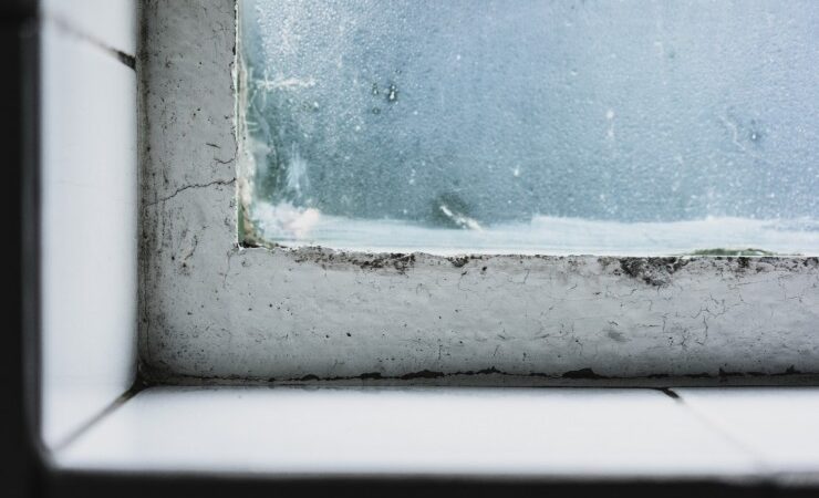 Schimmel in Innenräumen: Wellness Sanofit GmbH informiert über gesicherte Erkenntnisse zur Vorbeugung